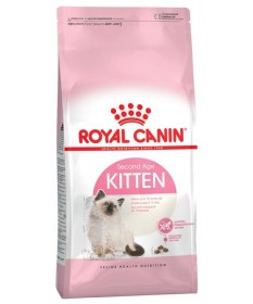 Royal Canin Gatto Kitten 2