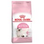 Royal Canin Gatto Kitten
