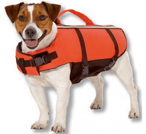 Trixie Salvagente per Cani XS da 26 cm