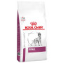 Royal Canin Veterinary Diet Renal per Cane