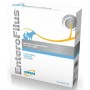DRN EnteroFilus da 12 FL x 10 ML per cani e gati