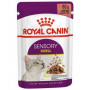 Royal Canin Sensory Smell Bocconcini in salsa per Gatti Adulti da 85 gr