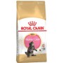 Royal Canin Maine Coon Kitten da 400g