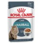Royal Canin Gatto Hairball da 85g