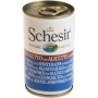 Schesir Gatto da 140g