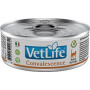 Farmina Vet Life Convalescence gatto da 85 gr