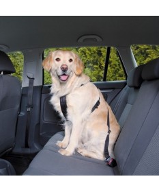 Trixie Pettorina per automobile M