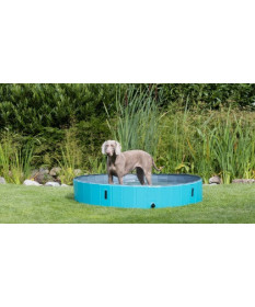 Trixie Piscina per Cani 160x30 cm
