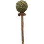 Trixie Lollipop di Matatabi per Gatti 