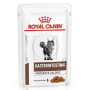 Royal Canin Veterinary Gastrointestinal Moderate Calorie Bocconcini per Gatti bst da 85 gr