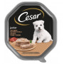 Cesar per Cani Junior con Tacchino e Vitello da 150 gr