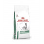 Royal Canin per Cane Diabetic da 12 Kg