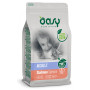 Oasy per Gatto Adult con Salmone da 300 gr