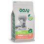 Oasy per Gatto Adult Sterilized con Salmone da 300 gr