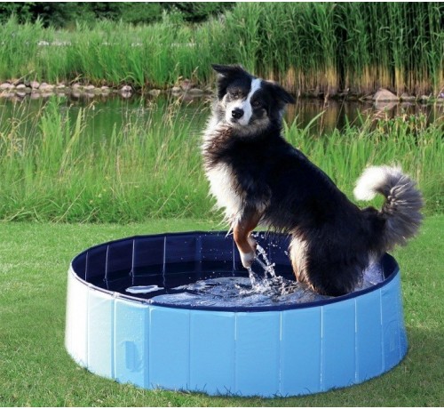 Trixie Piscina per Cani 120x30 cm