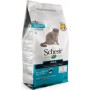Schesir gatto Monoprotein Mantenimento con Pesce