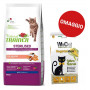 Trainer Natural per Gatto Adult Sterilised con Salmone da 10 Kg Trainer Natural per Gatto Adult Sterilised con Salmone da 10 Kg
