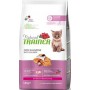 Trainer Natural Gatto Secco Kitten Salmone