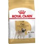 Royal Canin Cane Pug Adult (Carlino)