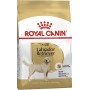 Royal Canin Cane Labrador Retriever Adult