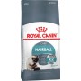 Royal Canin Gatto Hairball Care