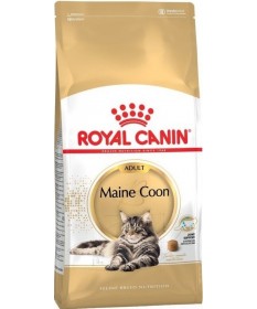 Royal Canin Maine Coon per Gatto Adult