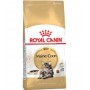 Royal Canin Maine Coon per Gatto Adult