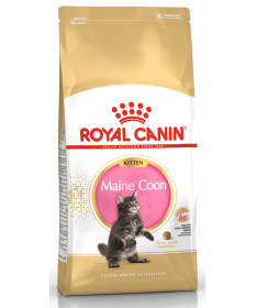 Royal Canin Maine Coon Kitten da 2 Kg