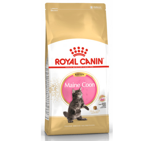Royal Canin Maine Coon Kitten da 2 Kg