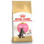 Royal Canin Maine Coon Kitten da 2 Kg Royal Canin Maine Coon Kitten da 2 Kg