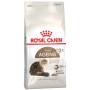 Royal Canin Gatto Ageing +12
