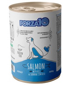 Forza10 Maintenance per cani Adult al Salmone con Riso da 400 gr 