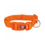 Trixie Collare Premium L-XL 40-65cm/25mm per Cani Arancio