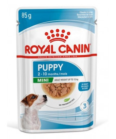 Royal Canin per Cane Mini Puppy 1 Bustina da 85,00 gr
