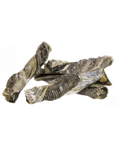 LeoPet Viking Rolls di Pesce 4 pz 50 gr