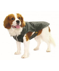 Fashion Dog Cappotto impermeabile per Cani Verde taglia 30