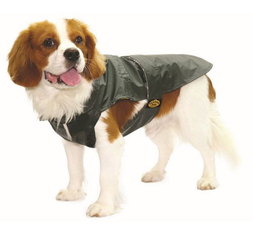 Fashion Dog Cappotto impermeabile per Cani Verde taglia 43
