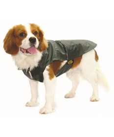 Fashion Dog Cappotto impermeabile per Cani Verde taglia 47