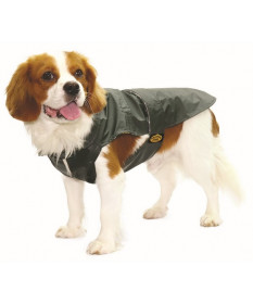 Fashion Dog Cappotto impermeabile per Cani Verde taglia 55