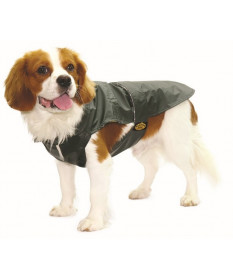 Fashion Dog Cappotto impermeabile per Cani Verde taglia 60