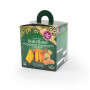 LeoPet Dolcettone Panettone per cani gusto Bacon 80gr LeoPet Dolcettone Panettone per cani gusto Bacon 80gr