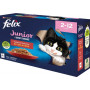 Felix ghiottonerie per Junior Multipack in gelatina con Manzo o Pollo 12 bst da 85 gr