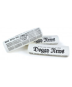 Leo Pet Giornale in vinile cm 22×6,5×4