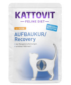 Kattovit Diet Recovery per Gatto con Pollo bst da 85gr
