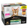 Purina ProPlan per gatti sterilizzati Multipack Manzo e Pollo da 24bst x 85gr