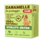 Canamelle Vitality-Detox per Cani Adulti da 40 gr