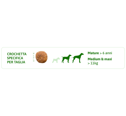 Trainer Natural Cane Adult Medium/Mature con Pollo e Riso da 3 Kg