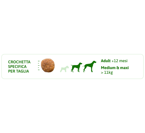 Trainer Natural per Cane Adult Medium da 3 Kg