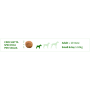 Trainer Natural per Cane Adult Mini con Manzo, Riso, Yucca e Alga Spirulina da 7 Kg