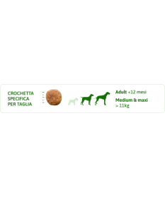 Trainer Natural per Cane Adult Medium con Tonno, Riso,Cicoria e Alga Spirulina da 12 Kg 2